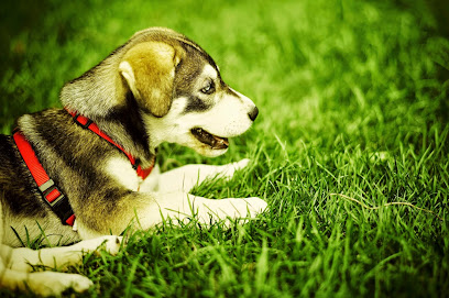 Paradise Animal Clinic, Hialeah