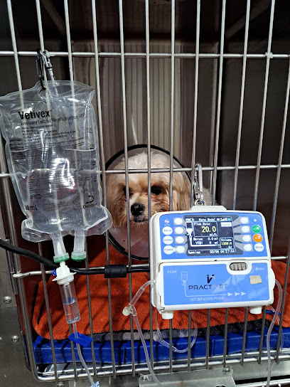 Panda Animal Clinic, Hialeah