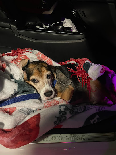Benitez Animal Hospital, Hialeah