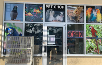 Pet Shop Animal Jungle, Hialeah