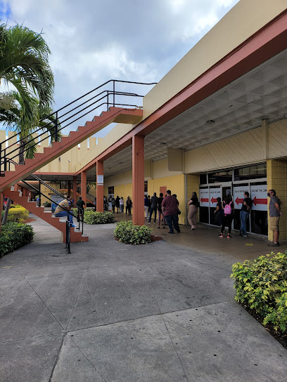 Florida Highway Safety and Motor Vehicles, Hialeah
