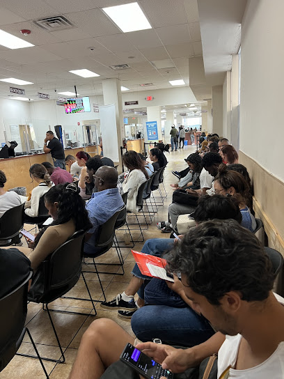 Dmv, Hialeah