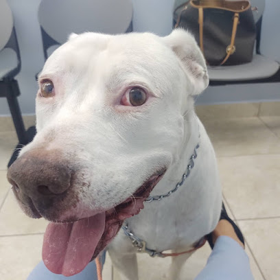 Palmetto Animal Clinic